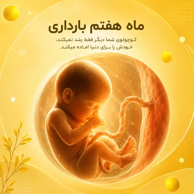 در ماه هفتم بارداری کوچولوی شما دیگر فقط رشد نمی‌کند، خودش را برای دنیا آماده می‌کند!