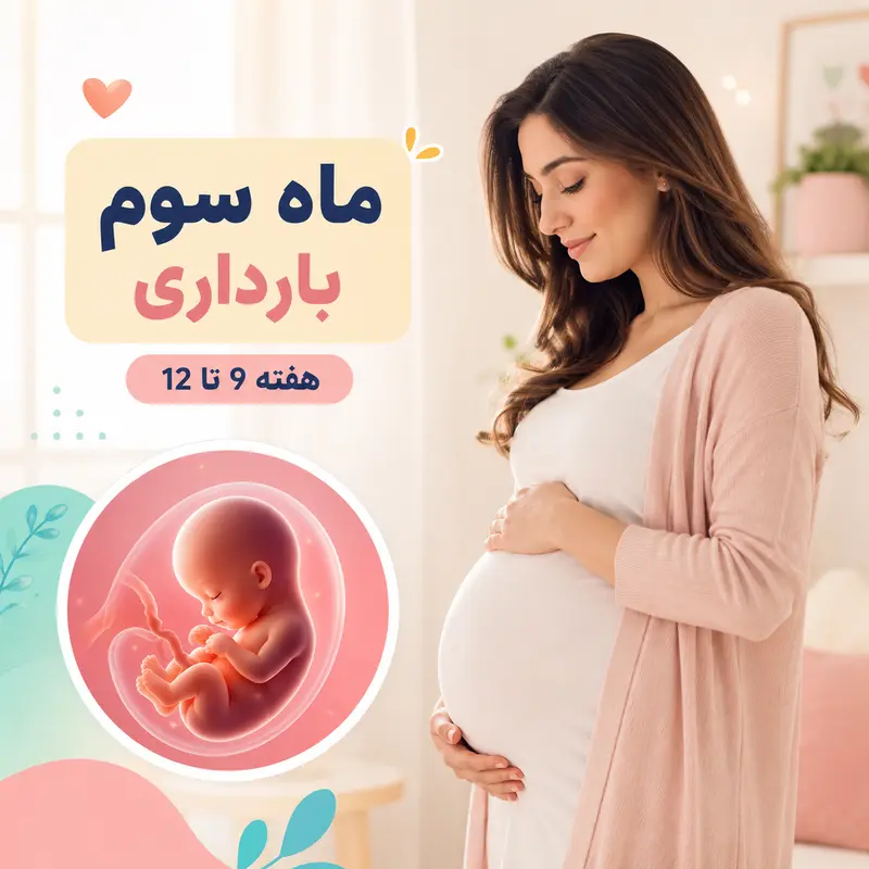 ماه سوم بارداری؛ از هفته نهم تا دوازدهم چه اتفاقی برای مادر و جنین می‌افتد؟