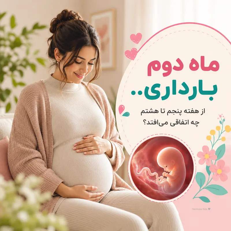 ماه دوم بارداری؛ از هفته پنجم تا هشتم چه اتفاقی می‌افتد؟
